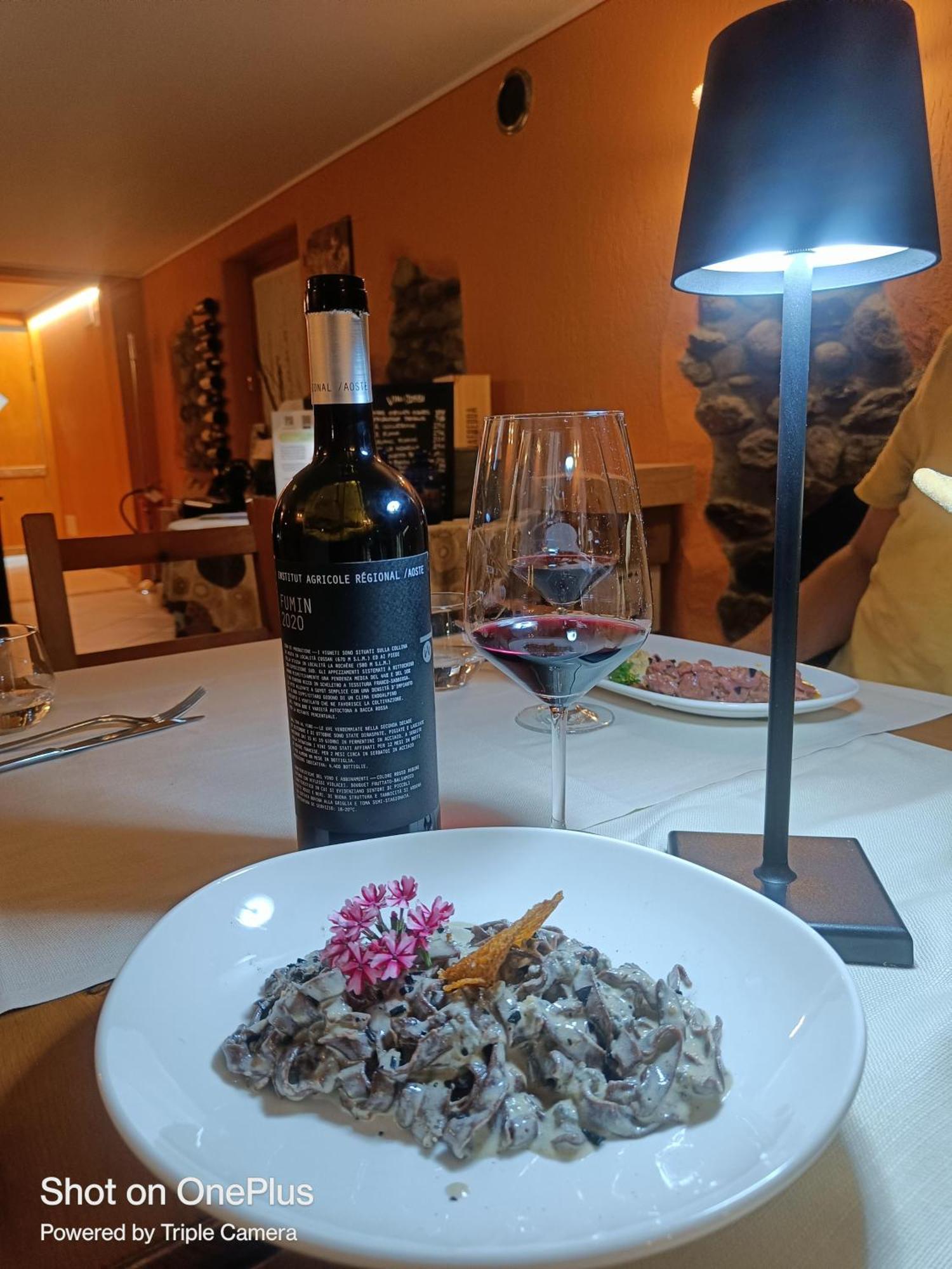 Lou Rose Villa Donnaz Buitenkant foto